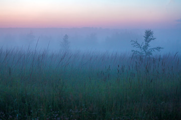 Misty Beautiful Nature Background