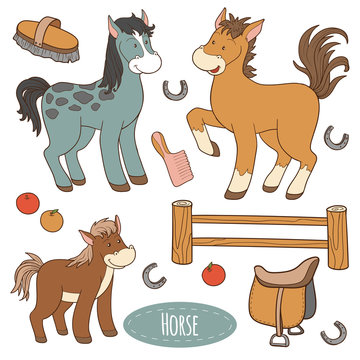 Set Of Cute Farm Animals And Objects, Vector Family Horse