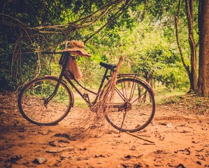 Fototapeta premium Vintage bicycle standing in the tropical forest