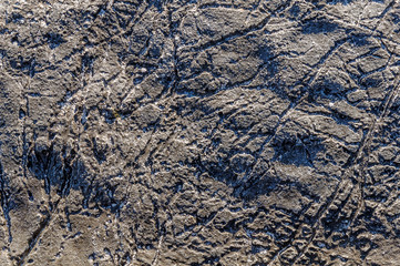 Texture of sea stone texture