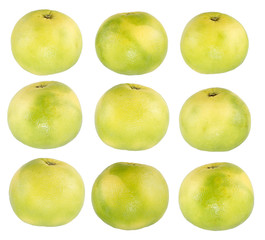Collection oroblanco isolated on white background