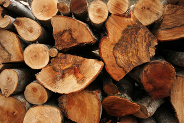 Pile of firewood 