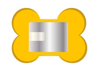 pies,akcesoria © monikakosz