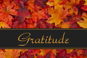 Gratitude Message