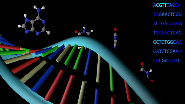 rotating dna strand with nucleo base molecules seamless loopable 4K UHD