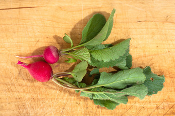 fresh clean red radishes on the cutting board