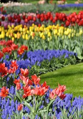 Springtime in the flower park