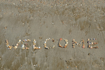 welcome shells wording on the beach