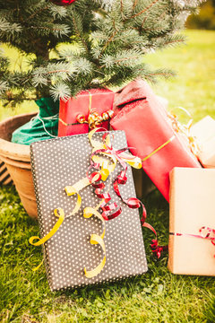 Wrapped Gifts Under a Small Christmas Tree Outdoors