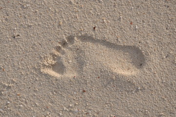Fototapeta na wymiar Footprint beach