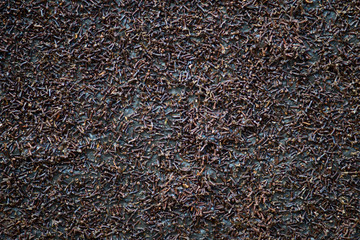 cloves organic wall texture background