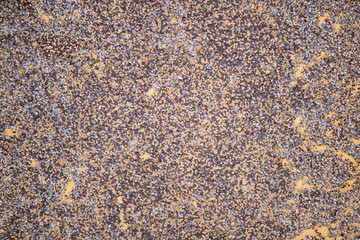 organic wall texture background