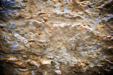 Wall background