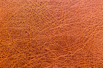 Stylish leather texture