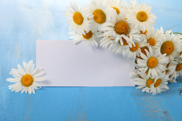 Beautiful chamomiles and greeting card