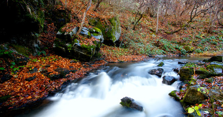 autumn river in bulgaria