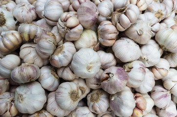 Fresh garlic