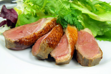 magret de canard 04122015