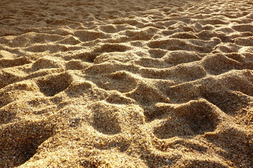 Sunlit Sand