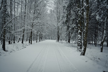  Freshly fallen snow 