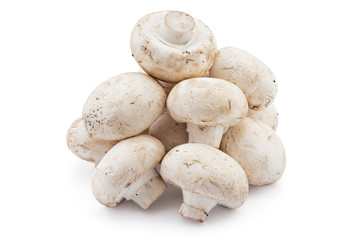 Pile of fresh raw champignons portobello mushrooms on a white background