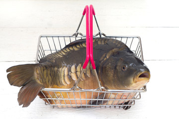 Carp raw fresh fish in the shopping basket on white wooden floor

