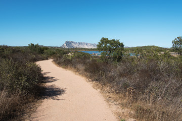 Path in Sardinia.