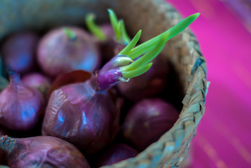 red onion