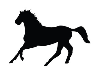 Fototapeta na wymiar Black horse