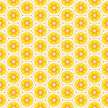 179 BEST Alveole IMAGES, STOCK PHOTOS u0026 VECTORS Adobe Stock