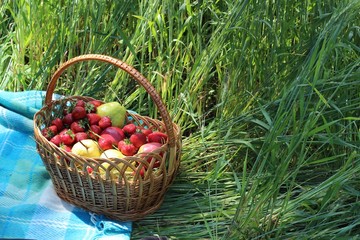 Basket with strawberries and apples