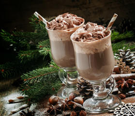delicious hot chocolate with chocolate and whipped cream, decora