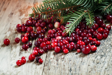 Ripe cranberries with fir branches on the background light candl