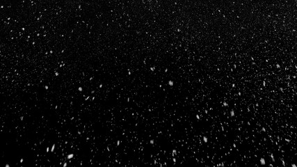 Falling realistic natural snowflakes from top to bottom, calm snow, perfect for digital composition