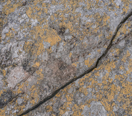 Golden brown stone with cracks on the surface
