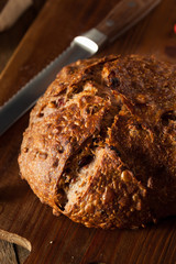 Homemade Walnut Cranberry Bread