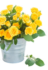 bouquet of fresh roses