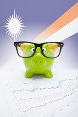 Piggy bank with flag on background - Marshall Islands