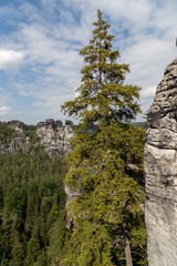 Beautiful view of the rocky mountains. Reserve Bastei.