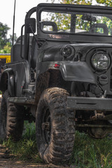 green army jeep in the jungle