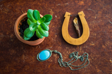 Fototapeta na wymiar Цветок в горошке, деревянная подкова и ожерелье лежат на столе
