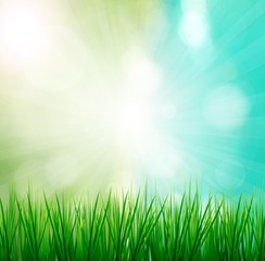 Fototapeta na wymiar Fresh spring green grass with sunlight blured background,Nature illustration