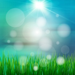 Fresh spring green grass with sunlight blured background,Nature illustration