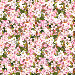 Seamless repeated floral pattern - pink cherry (sakura) and apple flowers. Watercolor 