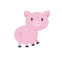 Cute piggy