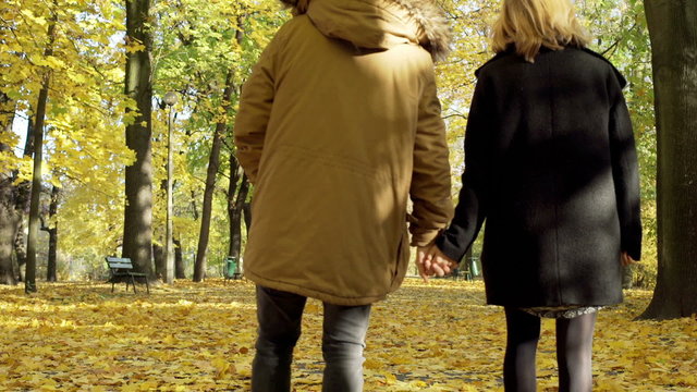 Couple walking in the autumnal park and holding each other hands
