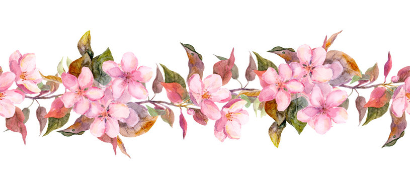 Fruit tree (apple or cherry) flowers. Seamless floral strip border. Botanic watercolor painted banner 