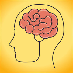 Intelligence of the human brain 