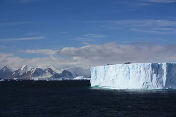 Foto auf Glas Tafeleisberg-Antarktis © bummi100