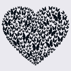  heart, butterfly